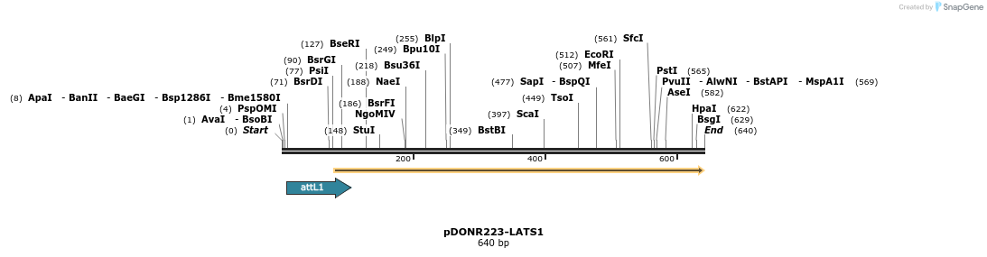 29544_map
