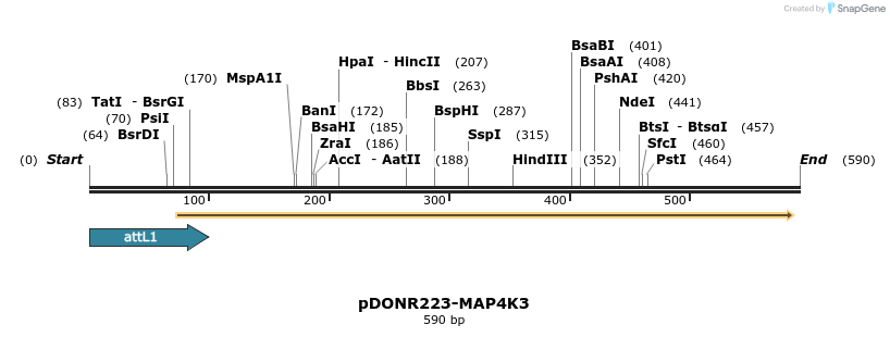 29545_map