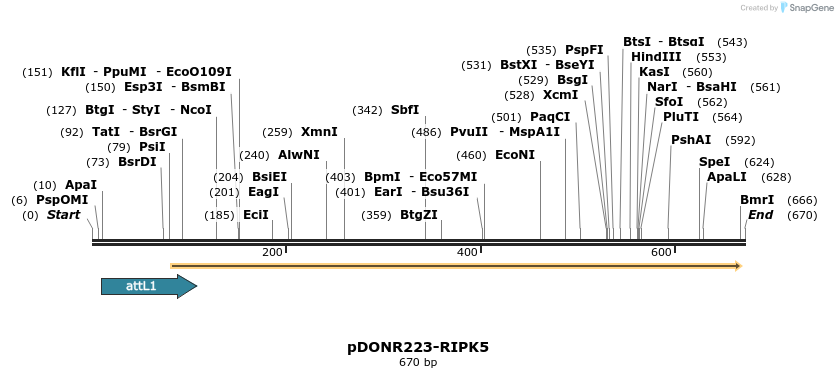 29547_map