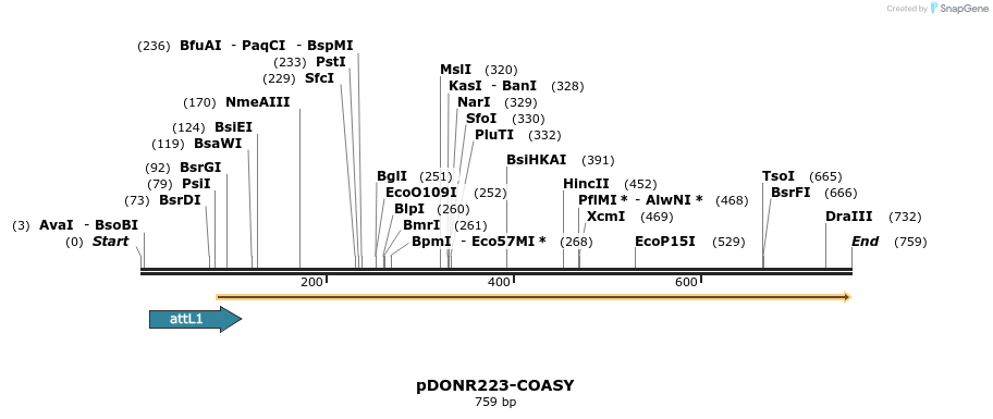 29550_map