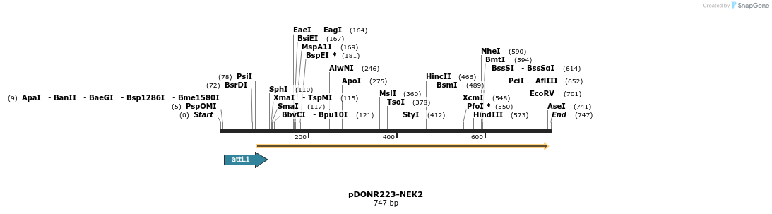 29552_map