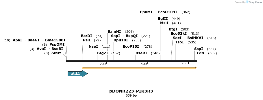 29553_map