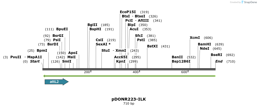 29554_map