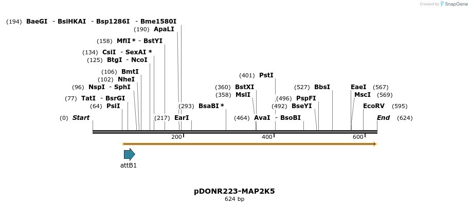 29556_map
