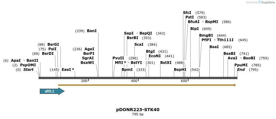 29558_map