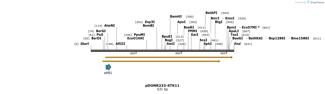 29559_map