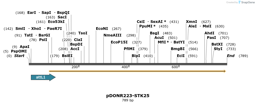 29561_map