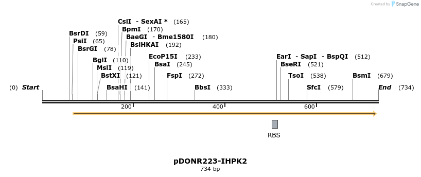 29562_map