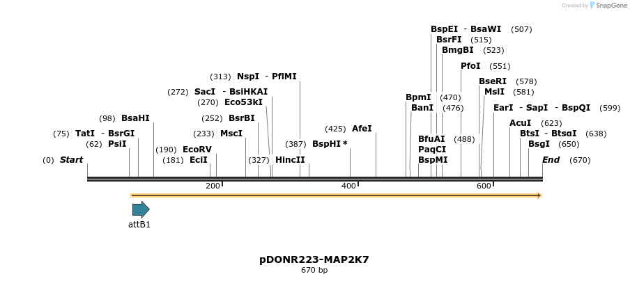 29563_map