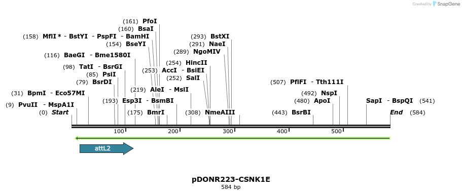 29564_map