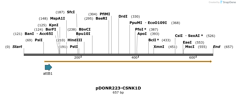29565_map