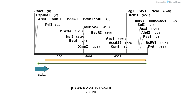 29566_map