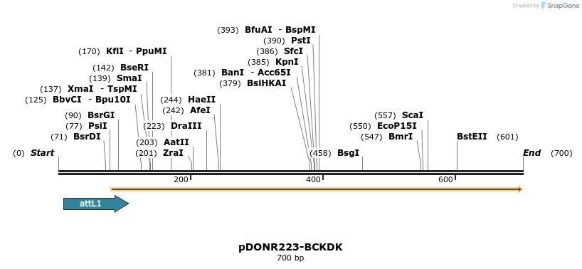 29567_map