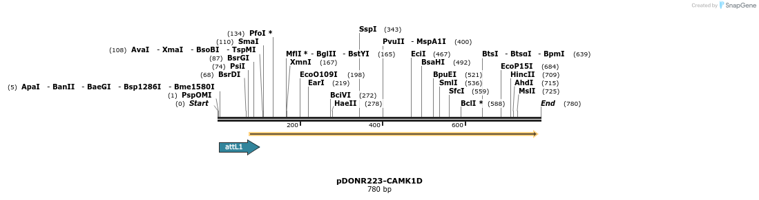 29570_map