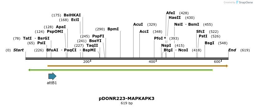29571_map