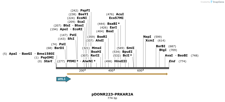 29572_map