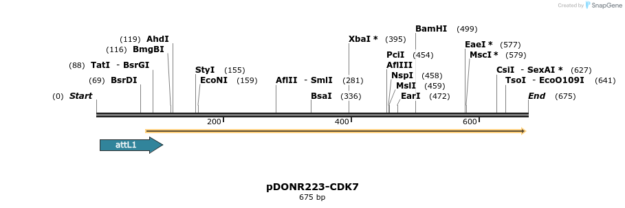 29575_map