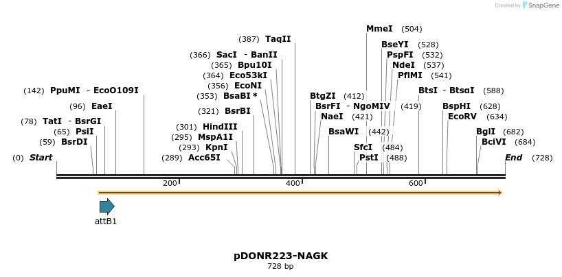 29576_map