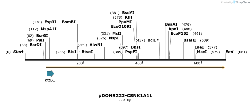 29577_map