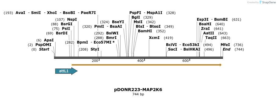 29578_map