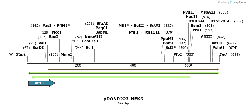 29580_map
