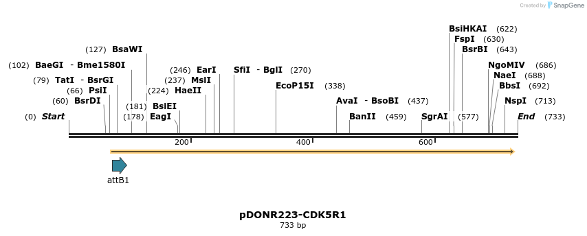 29582_map