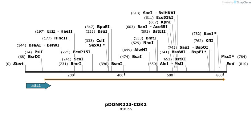 29584_map