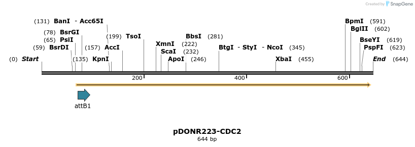 29585_map