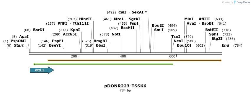29586_map