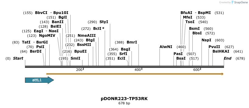 29587_map