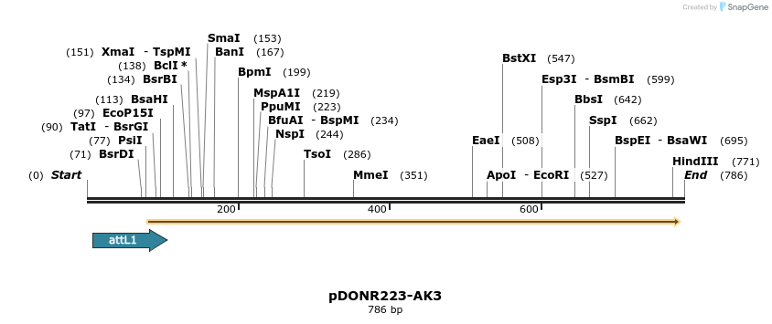 29588_map