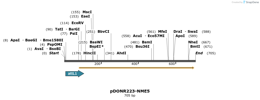 29589_map