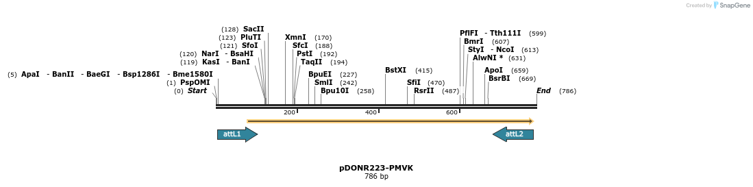 29590_map