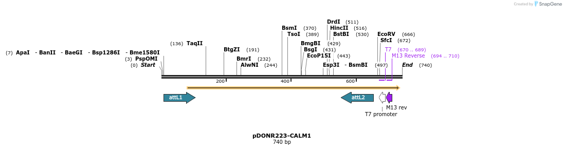 29593_map