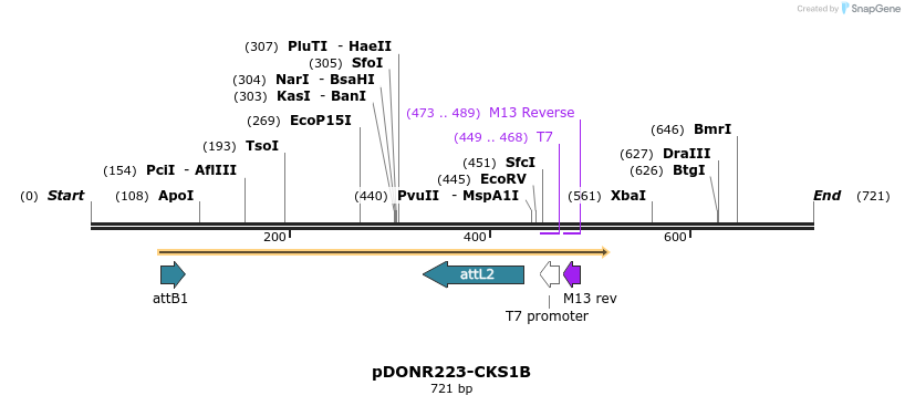 29594_map