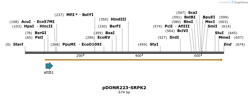 29595_map