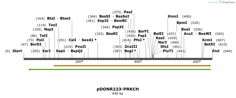29596_map