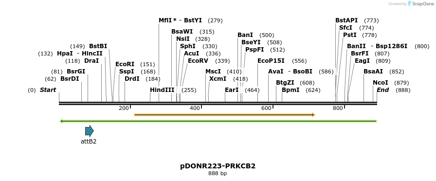 29597_map