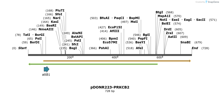 29598_map