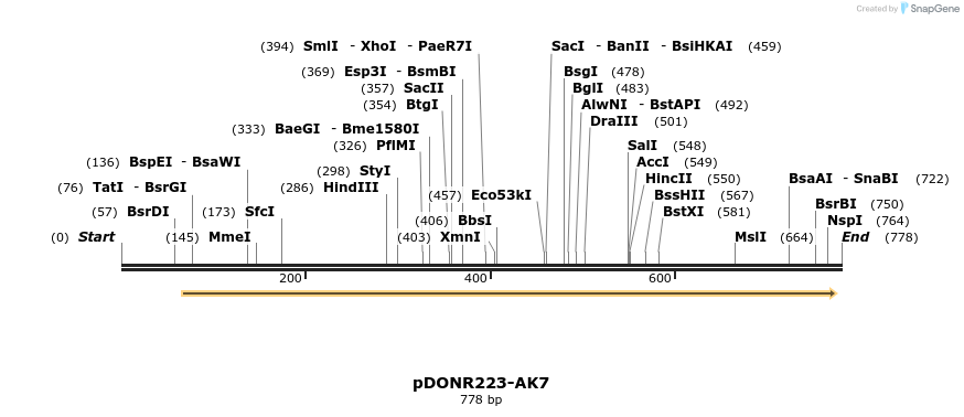 29599_map