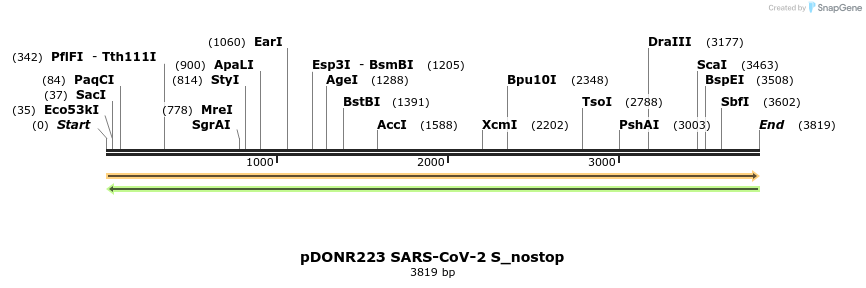 295999_map