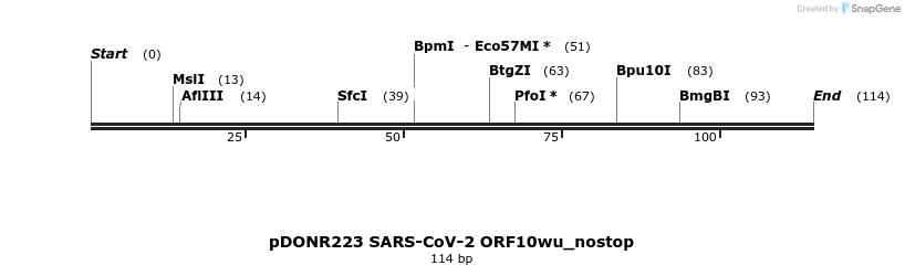 296001_map