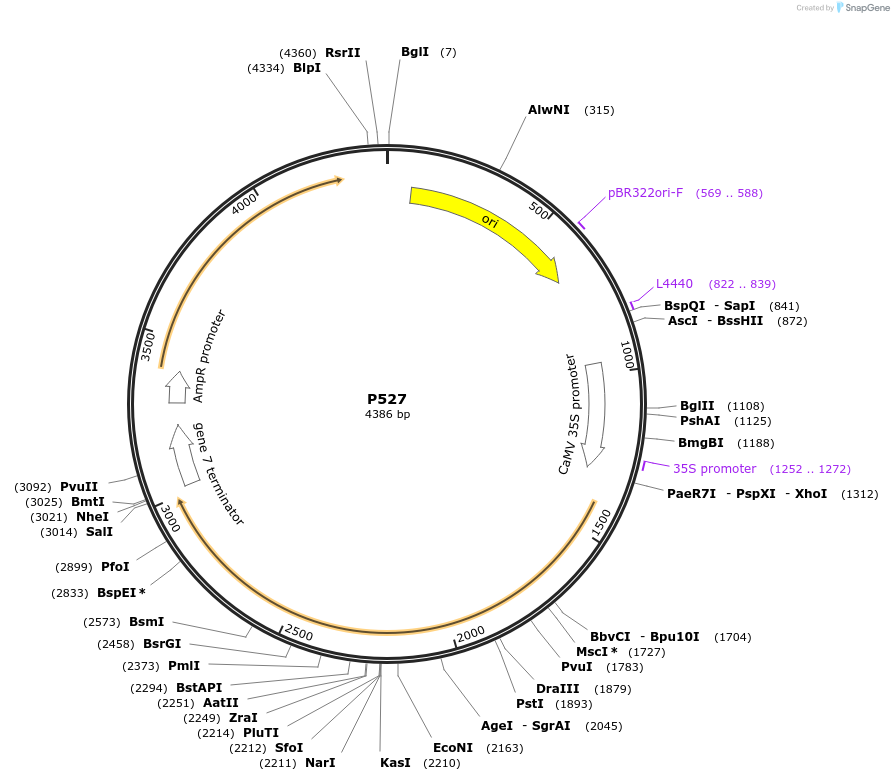 296004_map