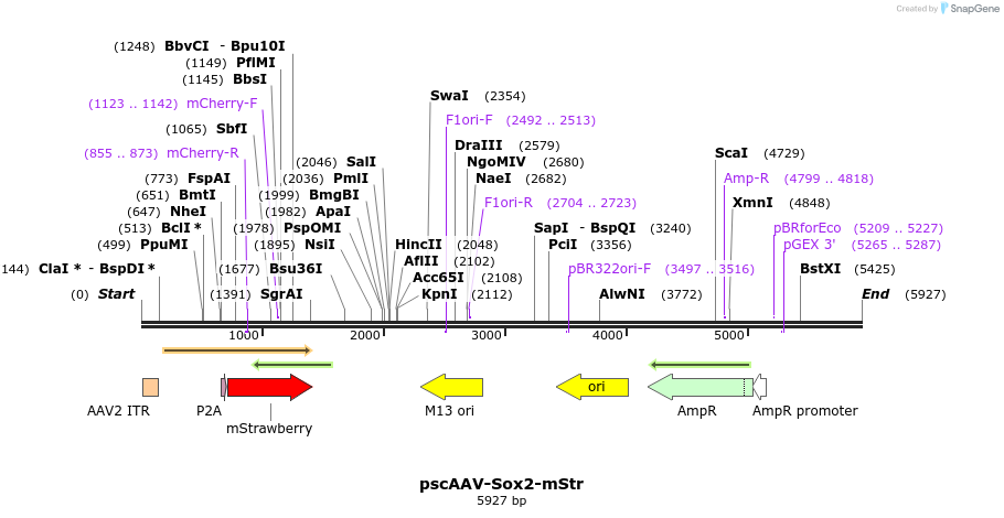 296007_map