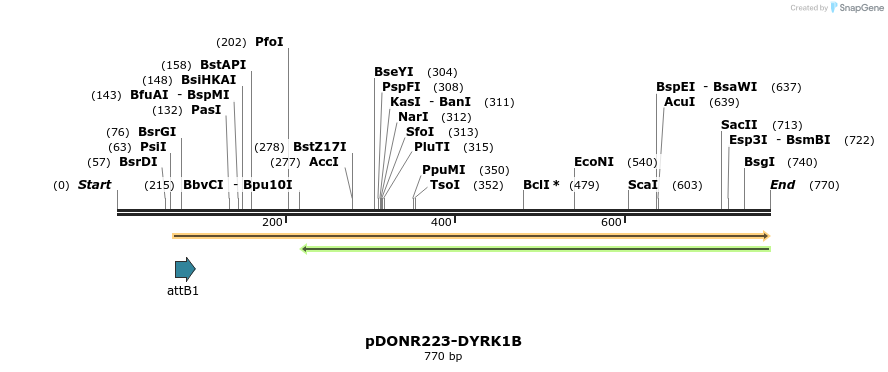 29601_map
