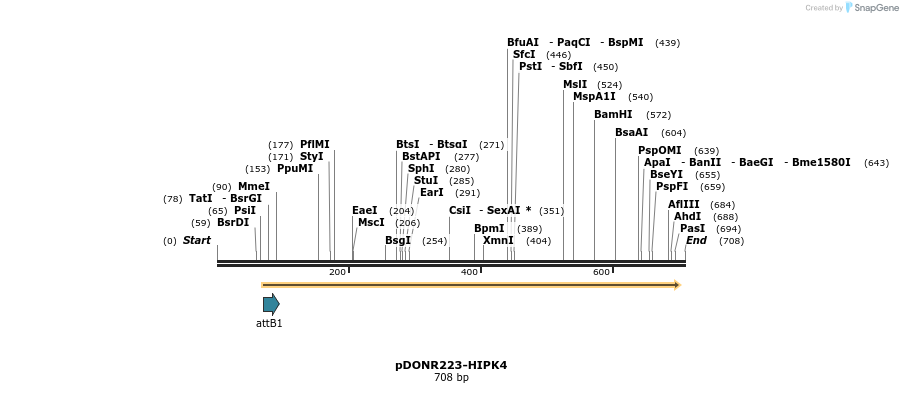 29602_map