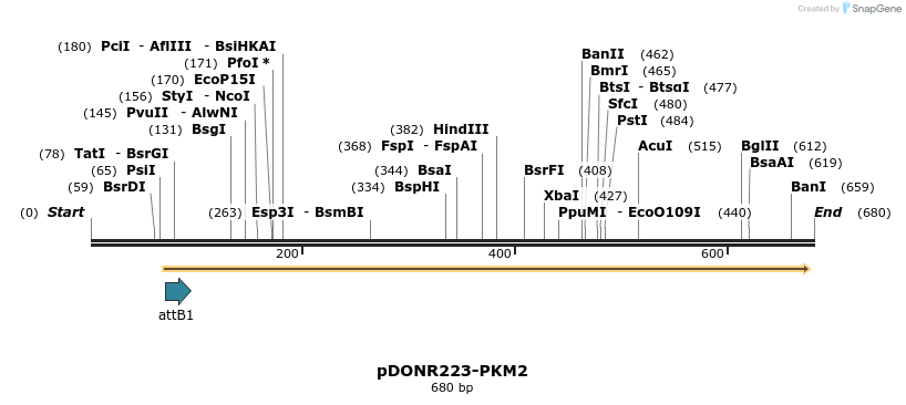 29605_map