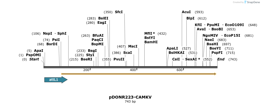 29606_map