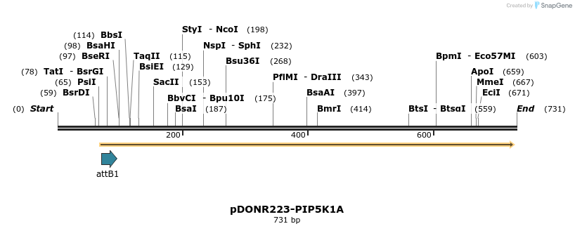 29607_map
