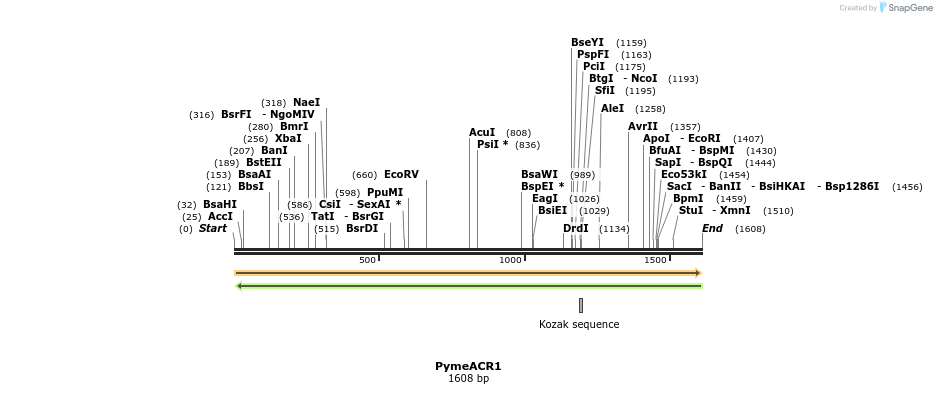 296074_map